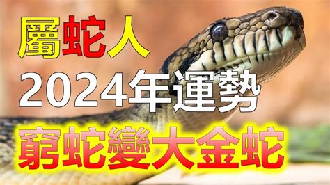 金蛇年2025|【2025年 蛇年】解讀2025年蛇年命理：屬蛇者的運勢。